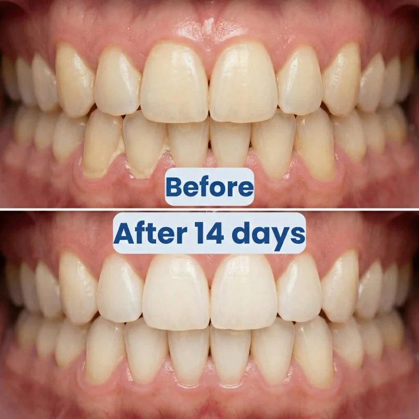 3 in 1  Rolling Floss Toothbrush